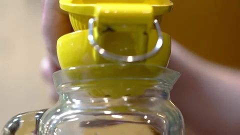 Juicing Lemons In A Kitchen Stock Footage 139769855