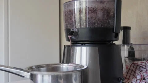 Juicing Machine Produces Freshly Squeezed Juice Stock Footage 287901181
