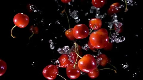 Juicy appetizing cherry jumping up in splashes of water Stock Footage 314110800