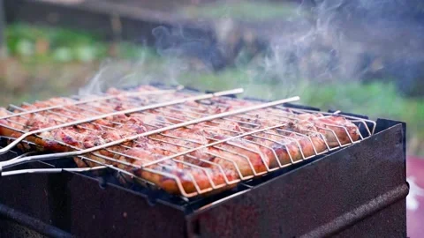 Juicy appetizing chicken wings are fried in a grid on the grill close-up on a Stock Footage 233567323