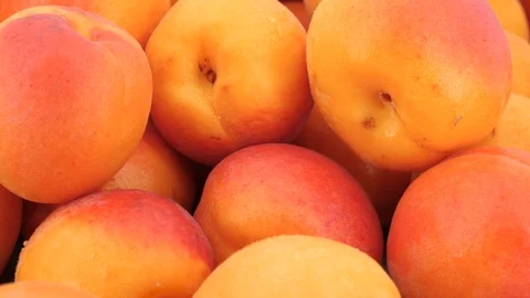Juicy apricots rotating, (loopable), close up. Shot in 4K Video stock 112373402