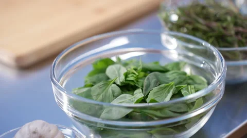 Juicy basil in a culinary cup 库存影片 238727227