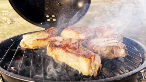 Juicy beef steak is fried on fire coals on iron grill on dark background in Stock Footage 255118834