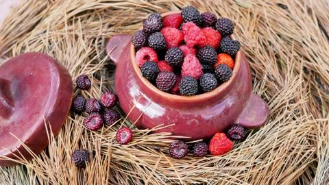 Juicy berries 库存照片