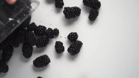 Juicy blackberries roll over a white background. Stock Footage 202276185