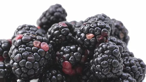 Juicy Blackberry Surface and Developing Drupelets in Detailed Macro 4K Video stock 348218832