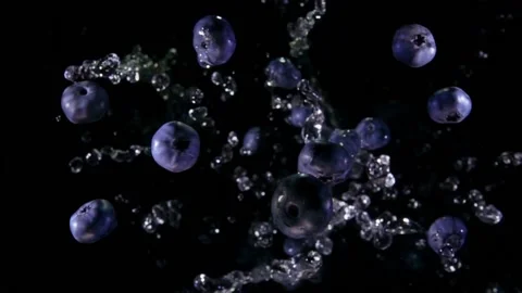 Juicy blueberries are bouncing up with splashes of water on the black background Stock Footage 146227694