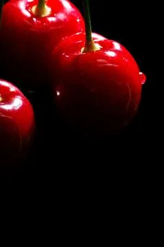 Juicy cherries 스톡 사진