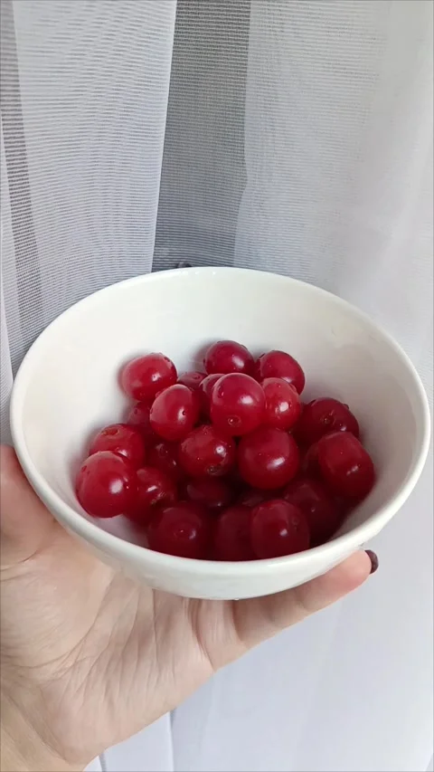Juicy cherry berries in a white plate in a hand. Stock Footage 313103771