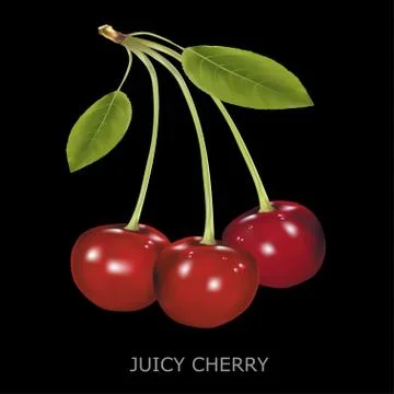 Juicy cherry on a black background Stock Illustration