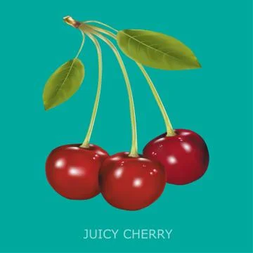 Juicy cherry on a blue background Stock Illustration
