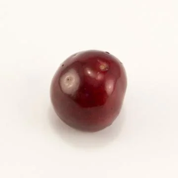 Juicy cherry Stock Photos