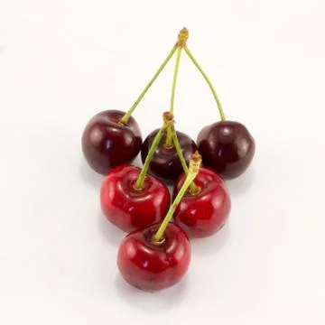 Juicy cherry Stock Photos