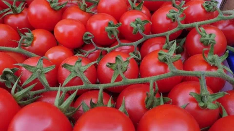 Juicy Cherry Tomatoes Shine at Local Market Stock Footage 309835202