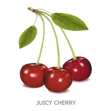 Juicy cherry on a white background Stock Illustration