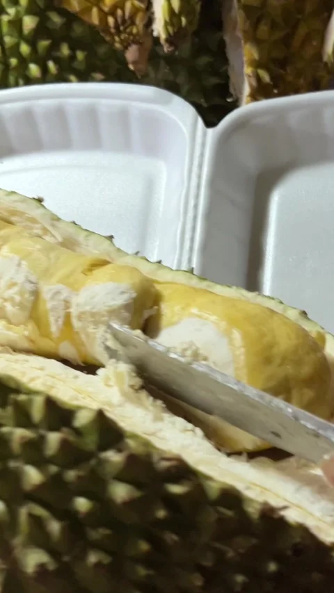 Juicy Durian fruit presented in a circle movement Stock Footage 311953805
