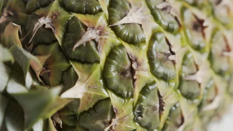 Juicy exotic fruit Ananas comosus fruit close-up 4K sliding video Stock Footage 145824728