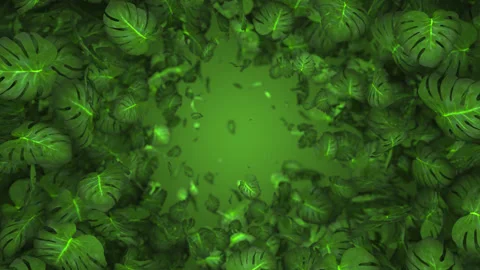 Juicy exotic monstera leaves float in space. Tropical plant leaves motion 3d Stock Footage 154591727