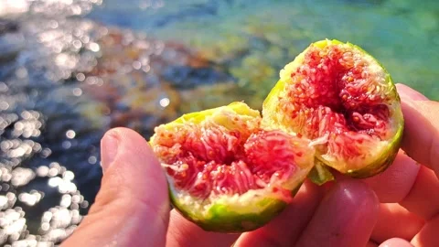 Juicy Fig Pulp Close-Up, Sparkling Sea Bokeh. Stock Footage 317384239