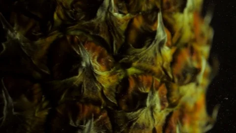 Juicy fresh big pineapple dropped into transparent water with explosive stunning Video stock 81876983