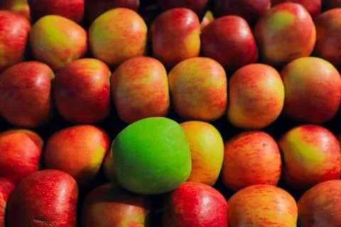 Juicy fruit Stock Photos