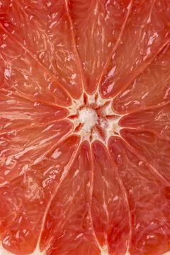 Juicy grapefruit background Stock Photos