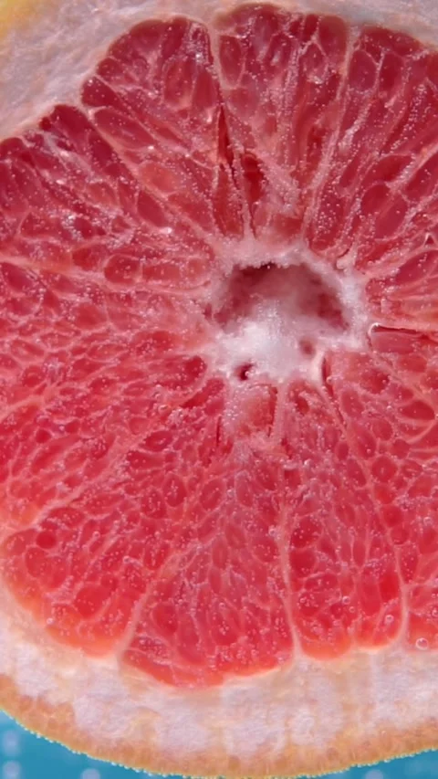 Juicy Grapefruit Slice Submerged in Sparkling Liquid Stock Footage 346397204