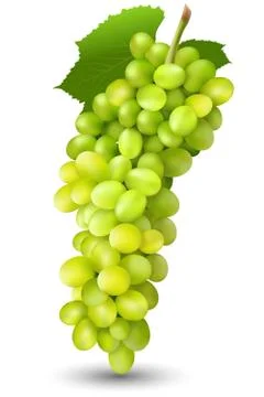 Juicy grapes Stock Illustration