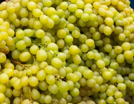 Juicy grapes Stock Photos