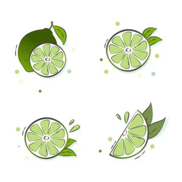 Juicy green bitter lime vector set Stockillustratie