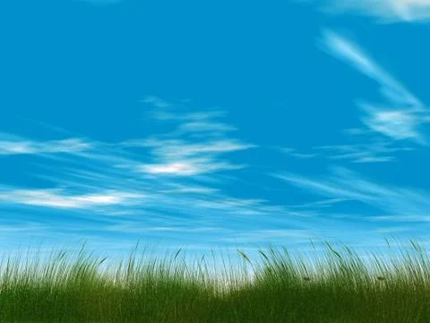 Juicy green grass on a background cloudy sky Stock Illustration