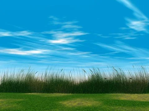 Juicy green grass on a background cloudy sky Stock Illustration