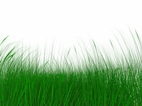 Juicy green grass on a background cloudy sky Stock Illustration
