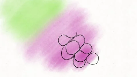 Juicy Hand-Drawn Grapes Animation | Colorful Fruit Loop Vídeos de archivo 334577221