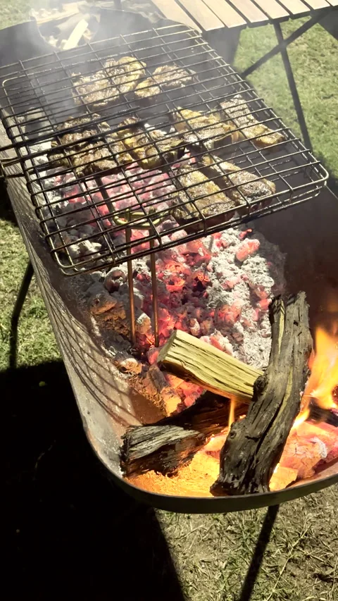 Juicy lamb chops in wire grid barbecued on hot coals from wood fire Stock-Footage 337266648