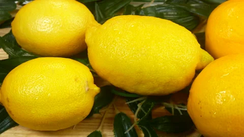 Juicy lemon Stock Footage 234319175