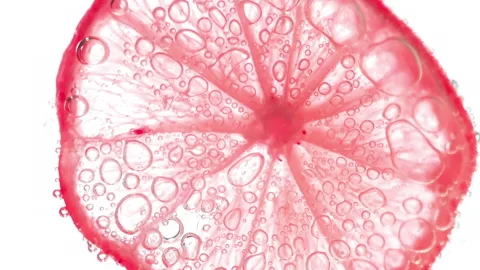 Juicy lime slices with color changing effects and bubbles on white background. Stock Footage 220177746
