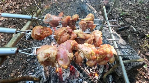 Juicy meat is cooked over a fire Stock Footage 156742852