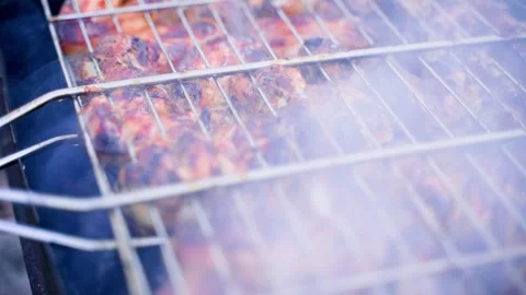 Juicy meat in a grid on smoke, close-up Stock Footage 244763268