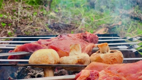 Juicy meat on a woodfired grill, barbecuing in 4K detail, at an adventurous food Stock Footage 274904662