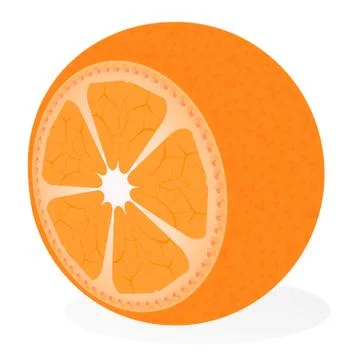 Juicy orange half. Citrus theme Stock Illustration