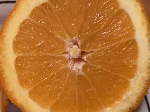 Juicy orange Stock Photos