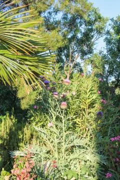 Juicy park vegetation. Stock Photos