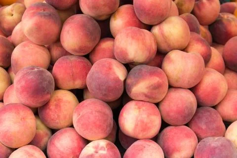 Juicy peaches Stock Photos