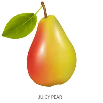 Juicy pear Stock Illustration