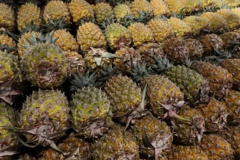 Juicy pine apples Stock Photos