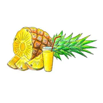 Juicy pineapple fruit illustration Stock Illustration