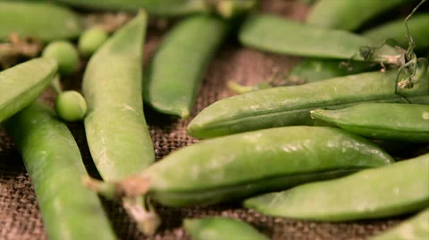 Juicy pods closeup and falling green peas Video stock 61218525