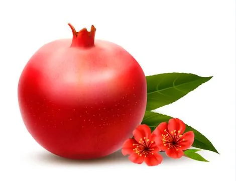 Juicy pomegranate with leaves. Vector Stock Illustration
