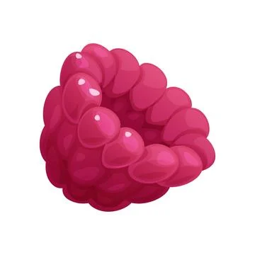 Juicy raspberry on an isolated background. Ripe berries for decoration and .. Stock Illustration
